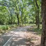 Bob Findlay Linear Park