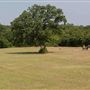 Cliff Nelson Park