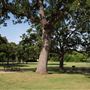 Deaver Park