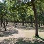 Fielder Park