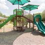 Julia Burgen Linear Park