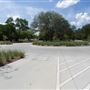 Julia Burgen Linear Park