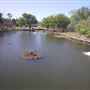 River Legacy Nature Center