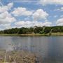 Sheri Capehart Nature Preserve