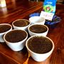 Texas Coffee School