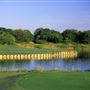 Tierra Verde Golf Club