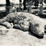 Sweeny Cemetery