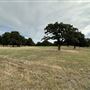 Fairlea Longhorn Ranch