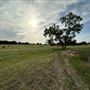 Fairlea Longhorn Ranch