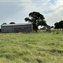 Fairlea Longhorn Ranch