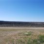 Blue Ostrich Winery & Vineyard