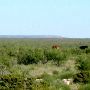 Descent of the Llano Estacado