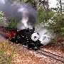 Texas State Railroad