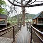 River Road Treehouses