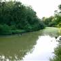 Mineola Nature Preserve