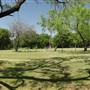 Cedar Hill State Park
