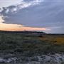 Buffalo Mountain Ranch