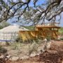 The Yurtopian - Hill Country Resort