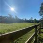 Pine Acres Farm