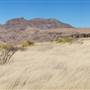 Cibolo Creek Ranch