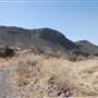 Cibolo Creek Ranch