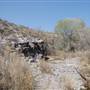 Cibolo Creek Ranch
