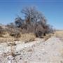 Cibolo Creek Ranch