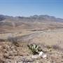 Cibolo Creek Ranch