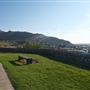 Tom Lea Upper Park