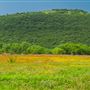 Lambshead Ranch