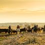 Lambshead Ranch