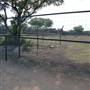 Natural Bridge Wildlife Ranch