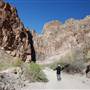 Big Bend National Park - Burro Mesa Canyon