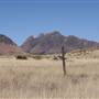 Scenic Loop 166 - Sawtooth