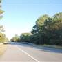 HWY 21 (East of Bastrop)