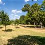 Beard Park
