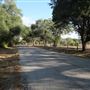 Jones Road