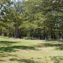 Blue Hole Regional Park