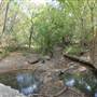 Lockhart State Park