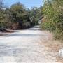 Onion Creek at CR 236