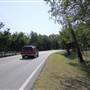 Tripp Road