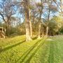 Perez House
