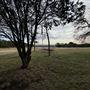 Thistle Ridge Farms