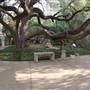 The Alamo