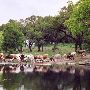 Enchanted Springs Ranch