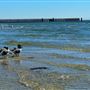 Rockport Beach Park