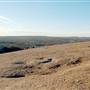 Enchanted Rock State Natural Area