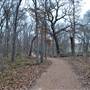 Palmetto State Park