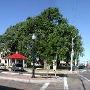 Levelland