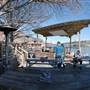 Ski Shores Cafe
